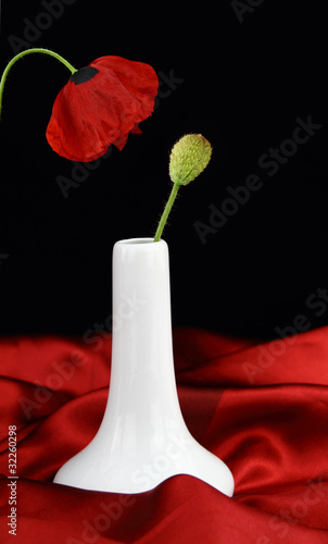 Photo: White vase with bud poppy flower White vase with bud poppy flower
