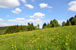 Photo: Landschaft Blumenwiese Landschaft Blumenwiese