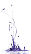Purple paint splashing Purple paint splashing