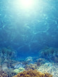 Oceania