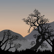 Asian sunrise