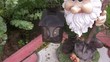 Approach of lamp with a candle in hands of the garden dwarf.