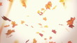 Falling autumn leaves - looped animation