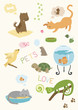 Cute Pets' Set