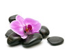Pink orchid and zen Stones on a white background Pink orchid and zen Stones on a white background