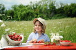 Frische Erdbeeren