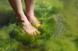 Human foot in the seaweed