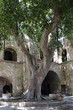 Rhodes courtyard