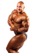 bodybuilder