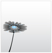 Black and white flower with drop