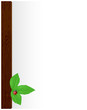 Background of wooden planks of leaves and ladybug
