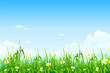 Green nature