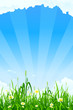 Green nature