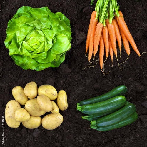 Photo: natural agriculture natural agriculture