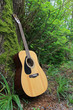 Acoustic guitar leaning against a moss covered tree.
