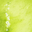 grunge background with flowers