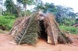 hutte pygmée cameroun hutte pygmée cameroun