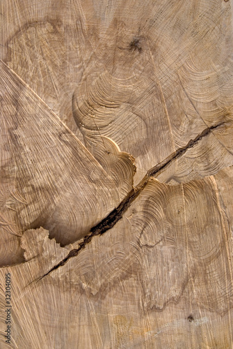 Foto: Truncated wood trunk section. Truncated wood trunk section.