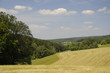 Landschaft im Odenwald