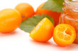 citrus jam citrus jam