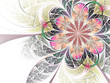 colorful abstract fractal flower on white background colorful abstract fractal flower on white background