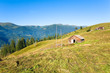 summer mountain farmyard