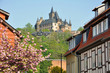 Wernigerode mit Schloss - Sachsen-Anhalt