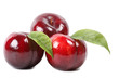 Frutta fresca Frutta fresca