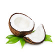 Coconut with green leaves
