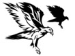 flying eagle vector illustration