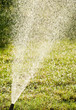 Sprinkling water in the garden backlit by sunlight.