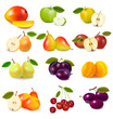Group with different sorts of fruit. Vector. Group with different sorts of fruit. Vector.