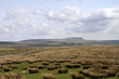 Pen-y-Ghent across moorland landscape in Yorkshire Dales