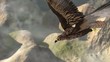 Video: flying eagle with landscape flying eagle with landscape