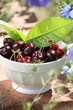 cerises