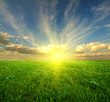 Sunset in steppe