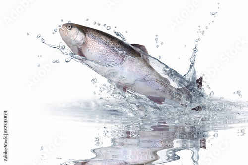 Photo: Fische 139 Fische 139