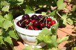 cerises