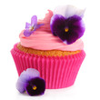 cupcake with cream and decorated with violets on white isolated cupcake with cream and decorated with violets on white isolated