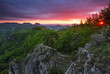 Green forest mountain at sunset with sun