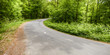 route en foret route en foret
