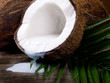 walnut coconut milk - latte di cocco cocco