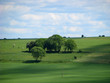 campagne 15