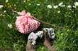 Photo: wanderschuhe wanderschuhe