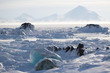 Arctic frozen fjord