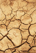 Dried land with animal footspet