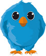 Birdy