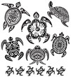 Decorative turtles Decorative turtles