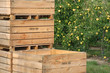 box pour récolte des pommes