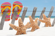 starfish by flip flops